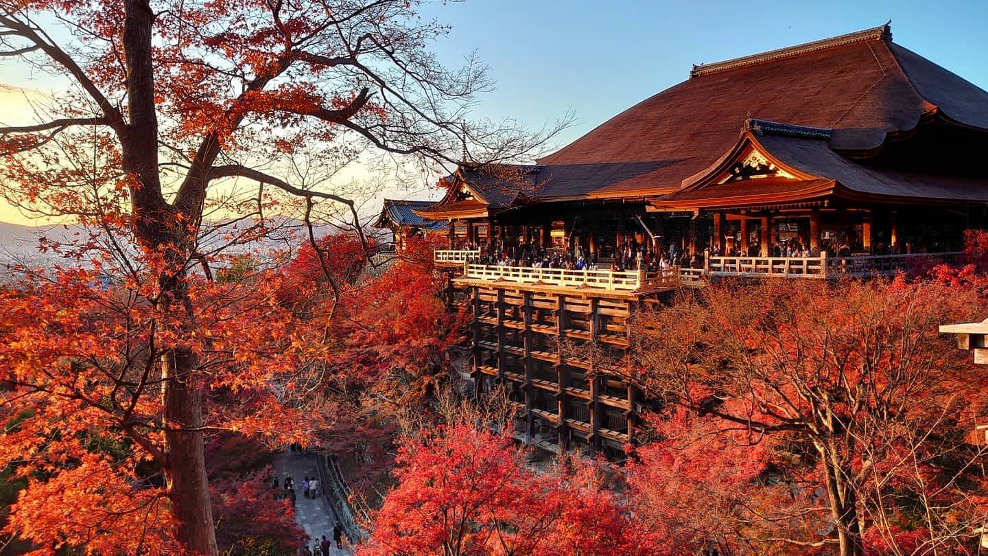 A temple in Japan surrounded by red autumn leaves