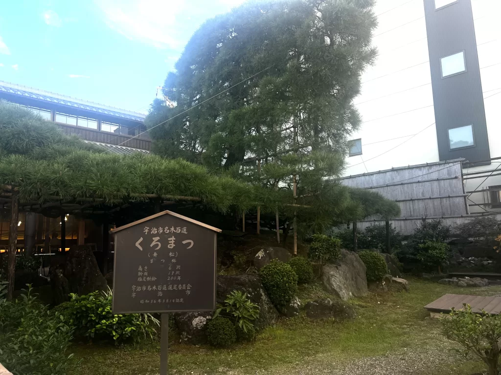A Japanese garden in a matcha cafe in kyoto with a written Japanese characters in a post