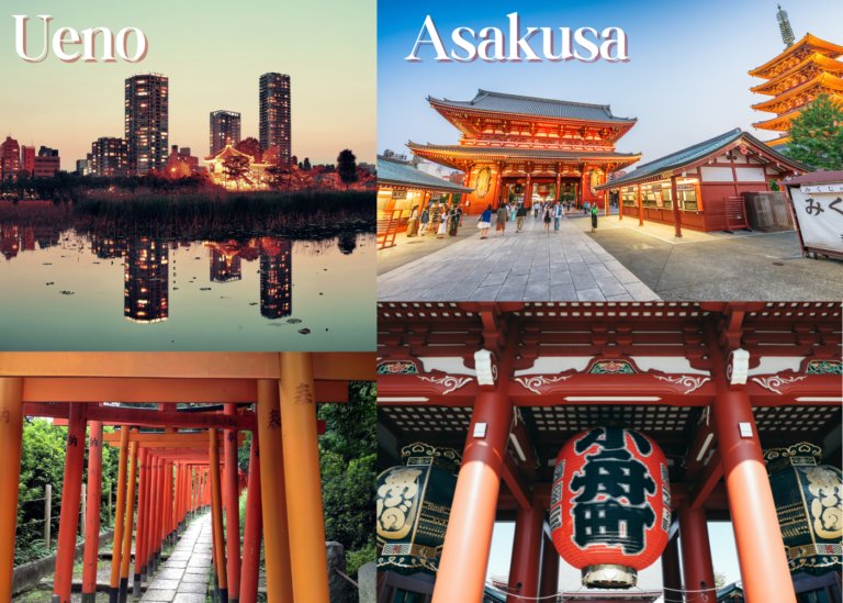 Ueno or Asakusa: Which is better to stay in 2024?