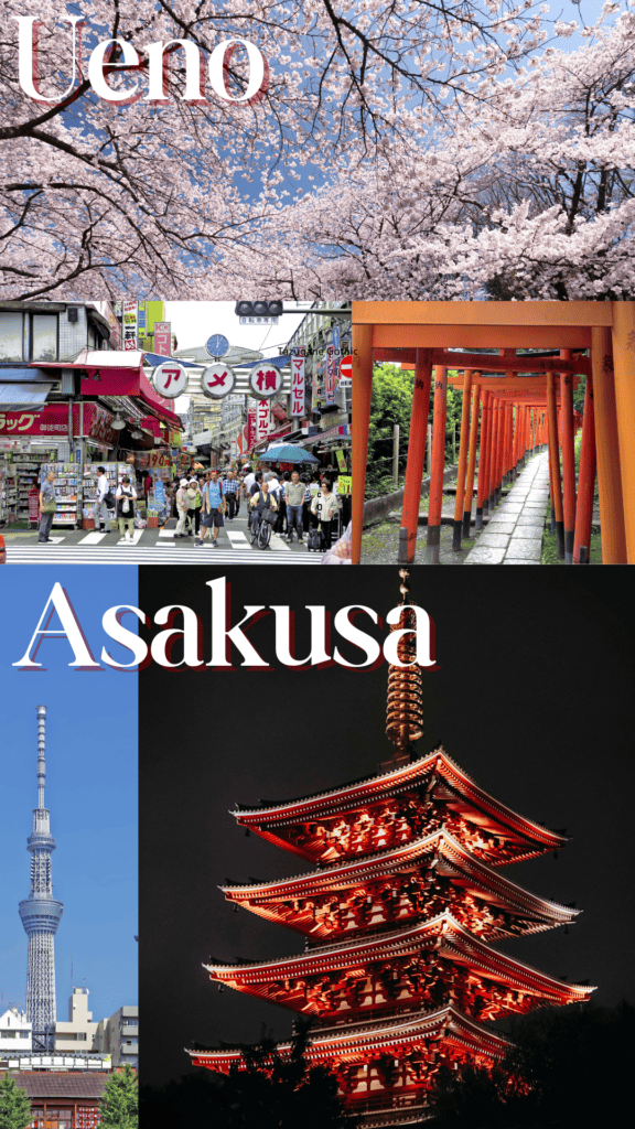 5 pictures of Tokyo with the upper side highlighting attractions in Ueno (pink cherry blossoms, lively market, and orange tori gates) and Asakusa on the lower side highlighting Tokyo tower in the left and Asakusa temple in the right